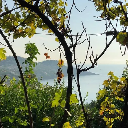Stunning Provencal - Panoramic Views Villa Saint-Raphaël