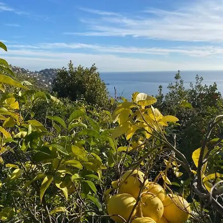 Stunning Provencal - Panoramic Views *