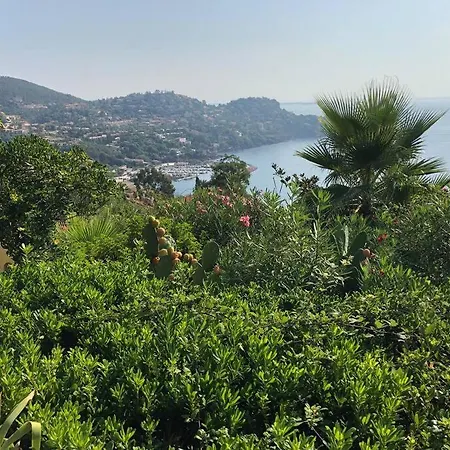 Stunning Provencal - Panoramic Views Villa *