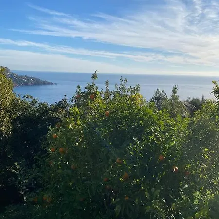 Stunning Provencal - Panoramic Views Saint-Raphael (Var)