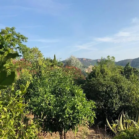 Stunning Provencal - Panoramic Views Villa *