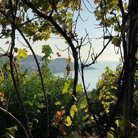Stunning Provencal - Panoramic Views Saint-Raphael (Var)