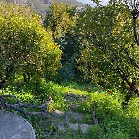Stunning Provencal - Panoramic Views * Saint-Raphael (Var)